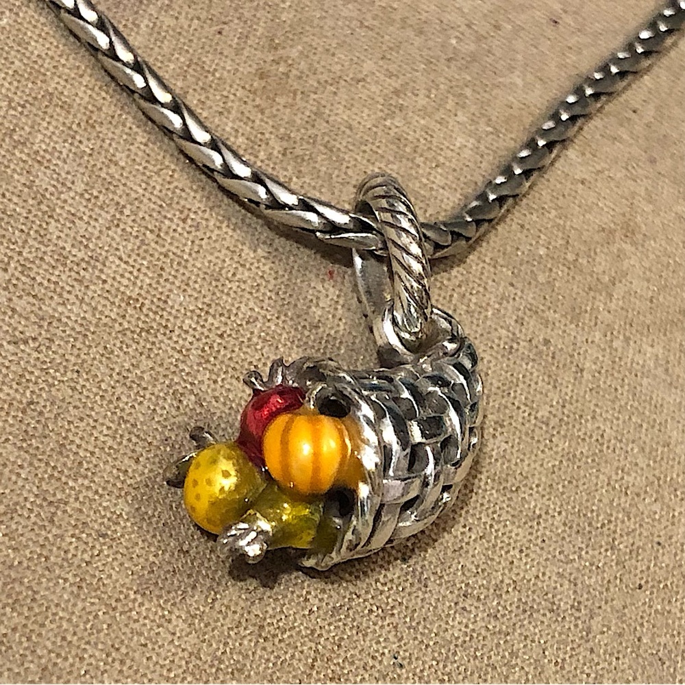 🦃Listing 🆕 Brighton Autumn Harvest charm Silver cornucopia of enameled veggies